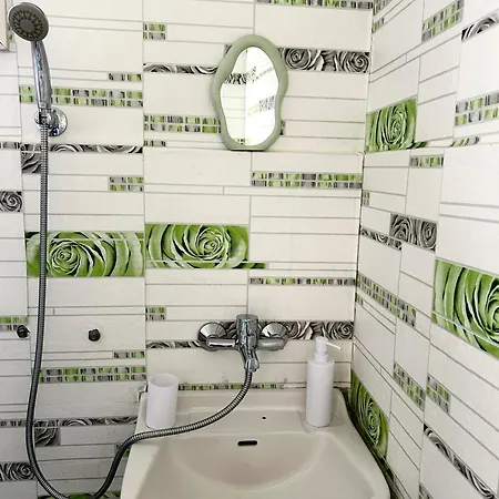 мишел Кемпинг *